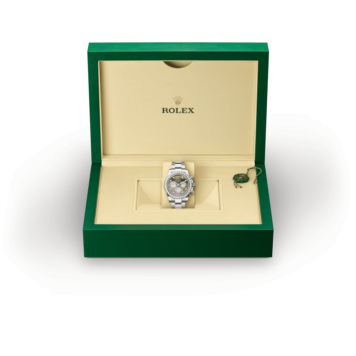 rolex COSMOGRAPH DAYTONA in 18 ct white gold, M126579RBR-0001 - Hyundaiwatch